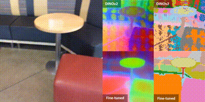 Improving 2D Feature Representations by 3D-Aware Fine-Tuning