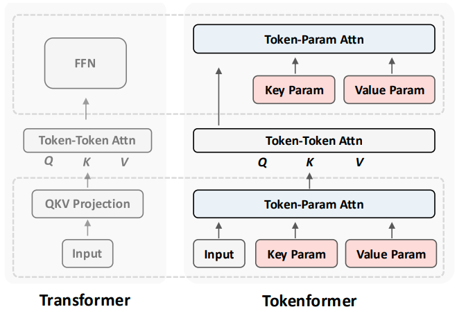 TokenFormer: Rethinking Transformer Scaling with Tokenized Model Parameters